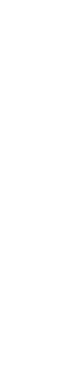 Group Surf Lessons for Adults Label