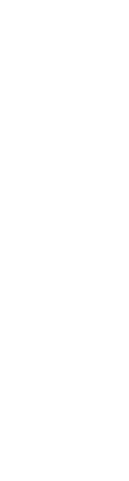 Surf Lessons for Children Label